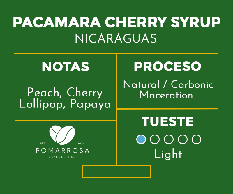 Pacamara Cherry Syrup – Nicaragua