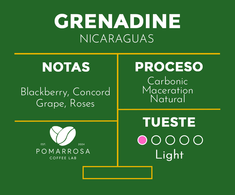 Grenadine – Nicaragua