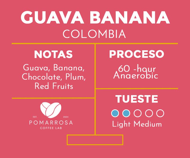 Guava Banana – Colombia