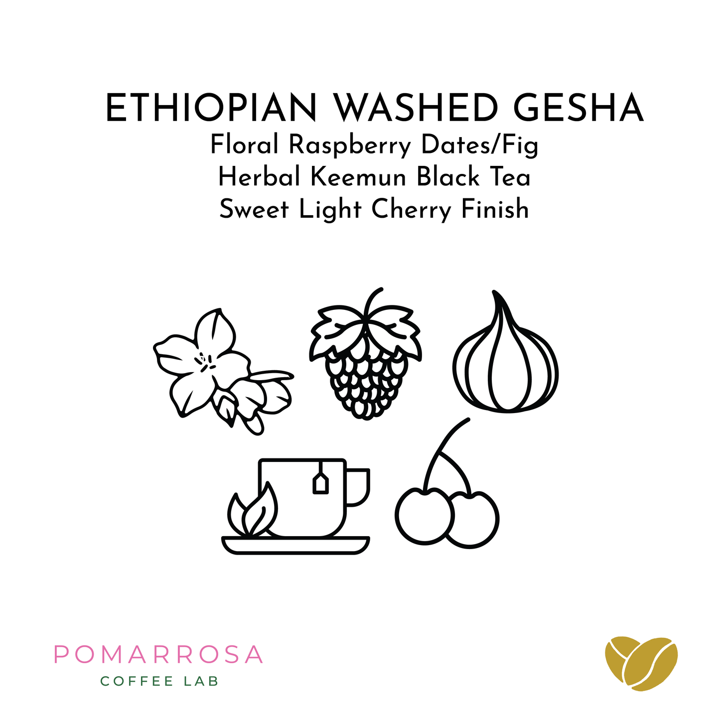 Gesha Washed - La Hermosa