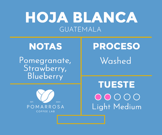 Hoja Blanca - Guatemala (OUT OF STOCK)